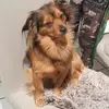 Rita LanghammerAnne - @rita.langhammeran - TikTok