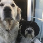 Rita Hatton - @ritahatton66 - Instagram