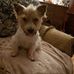 Rita Hatton - Facebook