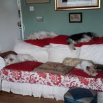 Rita Hatton - @rita.hatton.1 - Instagram