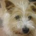 Rita Hatton - Facebook