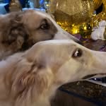 Rita Hauser - @rita.hauser.75 - Instagram