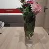 ritahauser61 - @ritahauser61 - TikTok