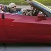 ritadehavenwheele - @ritadehavenwheele - TikTok