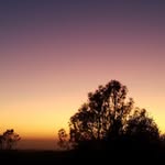 Rita Hendrickson - @rh.shells413 - Instagram