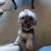 Rita Hendrickson - Facebook