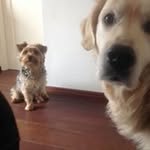 Rita Herder-Velthuis - @rita.herder_ - Instagram