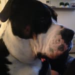 Rita Hermsen - @hermsenrita - Instagram