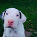 Rita Holden - Facebook