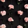 Рита Гомер - @ritahomer0 - TikTok