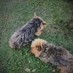 @homer_@rita - @homero_y_rita - Instagram