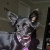 ritaholley - @ritaholley - TikTok