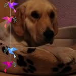 Rita Horvath - @rita.horvath.3998 - Instagram