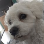 Rita Horvath - @ritahorvath221 - Instagram