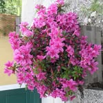 Casa Di Rita - @rita_house_2018 - Instagram
