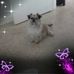 Rita House - Facebook