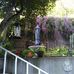 Rita House - Facebook