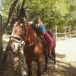 @ritahouse_ - Instagram