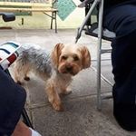 Rita Hunter - @rita.hunter.146612 - Instagram