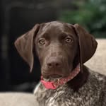 Rita Hunter - @rhunter23 - Instagram
