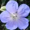 Rita Hyatt585 - @ritahyatt585 - TikTok