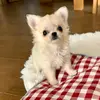 ritajack138 - @ritajack138 - TikTok