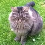 Rita Jacob - @rita.jacob.75033 - Instagram