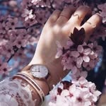 Ritaj Anis - @ritaj.anis.37 - Instagram