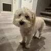 RitaJ - @ritajeffrey71 - TikTok