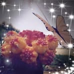 Rita Johnston - Facebook