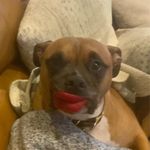 Rita Johnston Douglas - @rita.l.dougla - Instagram