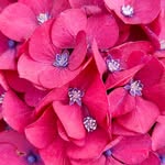 Rita Jørgensen - @jorgensen5037 - Instagram
