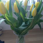 Rita Jørgensen - @ritajorgensen4040 - Instagram