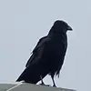 Ritajojo - @ritajosephson365 - TikTok