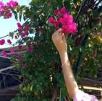 Rita Joshi - Facebook