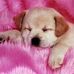 Rita Juarez - Facebook