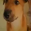 Sarita Juarez - @sarita.juarez05 - TikTok