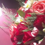RITA 26🥀♥️ - @rita_kahled - Instagram