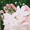 sohap 💪123 - @rital.alkahld - TikTok
