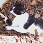 Rita Kenney - @ritamae44 - Instagram