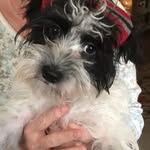 Rita Keyes - @ritakeyes3 - Instagram