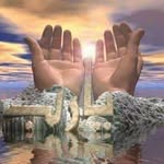 Rita Kidwell - @kidwell5615 - Instagram