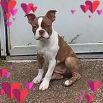 Rita Jaster Kirkpatrick - @anita3322019 - Instagram