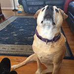 Rita Kiser - @ritakiser01 - Instagram