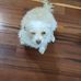 Rita Kitchen - Facebook