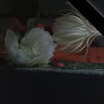 Rita Kitchen - Facebook