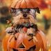 Rita Kitchens Morris - Facebook