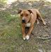 Rita Jo Knapp - Facebook