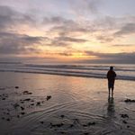 Rita Knapp - @ritaknapp - Instagram