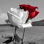 Rita Knoll - @knollrita - Instagram